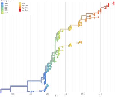 Case report: Clearance of longstanding, immune-deficiency-associated, vaccine-derived polio virus infection following remdesivir therapy for chronic SARS-CoV-2 infection